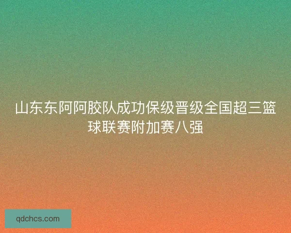 山东东阿阿胶队成功保级晋级全国超三篮球联赛附加赛八强